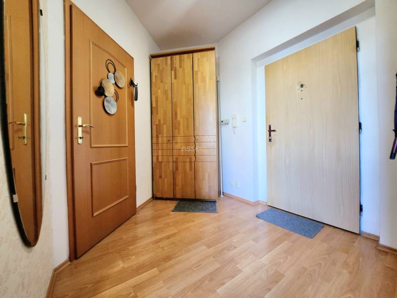Hallway of a one-bedroom apartment with a built-in wardrobe, wooden doors, and parquet flooring.