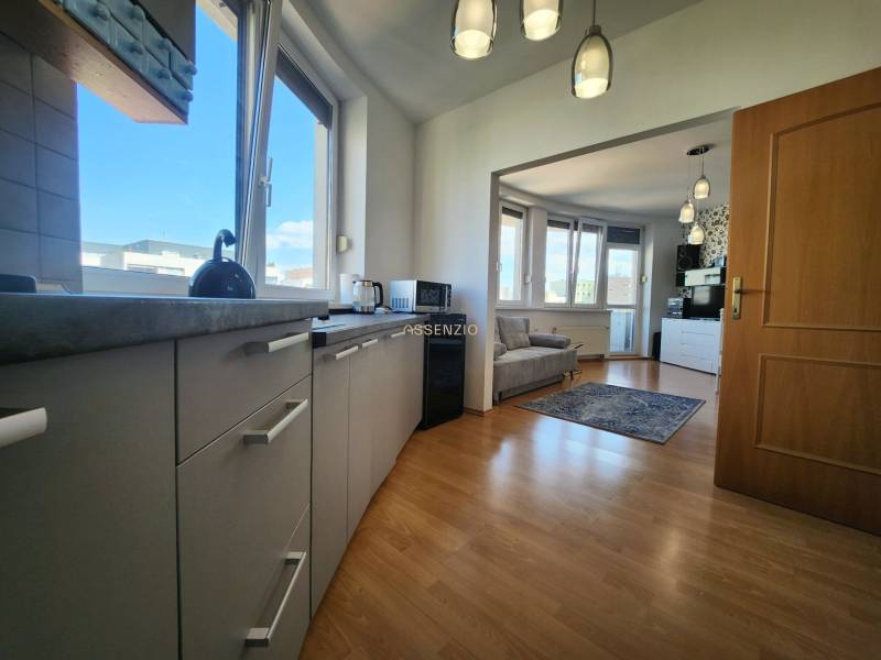 Kitchen and living room in a studio apartment with wooden flooring and large windows.