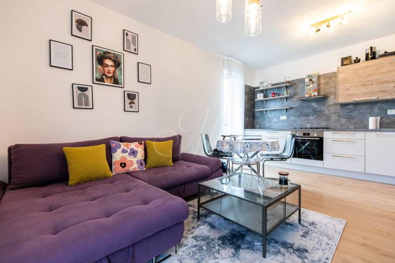Living room with a purple couch, kitchen, table, and decorations in a 3-room apartment.