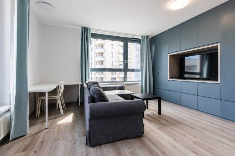 Living room with a sofa, television, and a large window in a 2-room apartment.