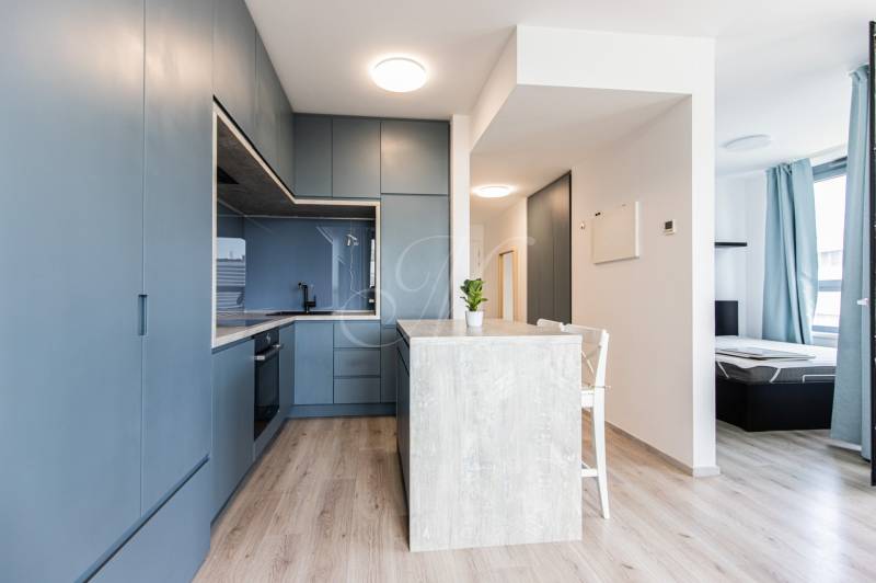 Kitchen and dining area in a 2-room apartment with wooden flooring and blue cabinets.