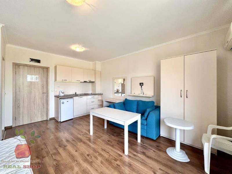 A recreational apartment with wooden flooring, a kitchenette, and a sofa offers a cozy place to relax.