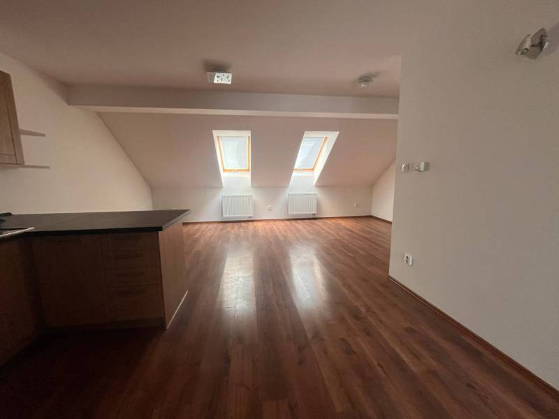 Attic space in a 3-room apartment with wooden flooring and skylights.