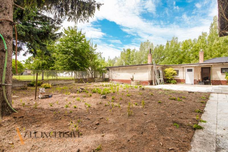 A garden at a family house in the village of Žihárec with an unmaintained lawn and trees.