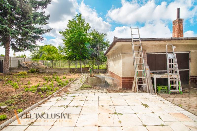 The courtyard of a family house in Žihárec with ladders and illuminated trees in the background.