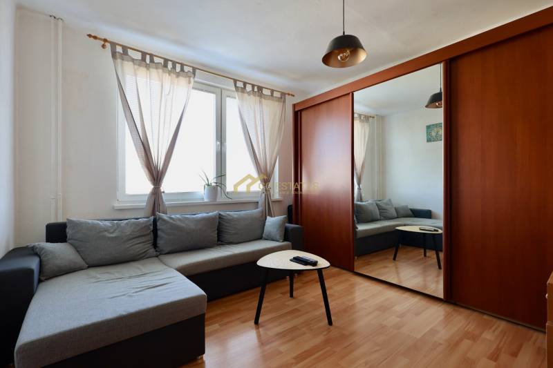 Living room in a two-room apartment with a comfortable sofa, coffee table, and a large wardrobe.