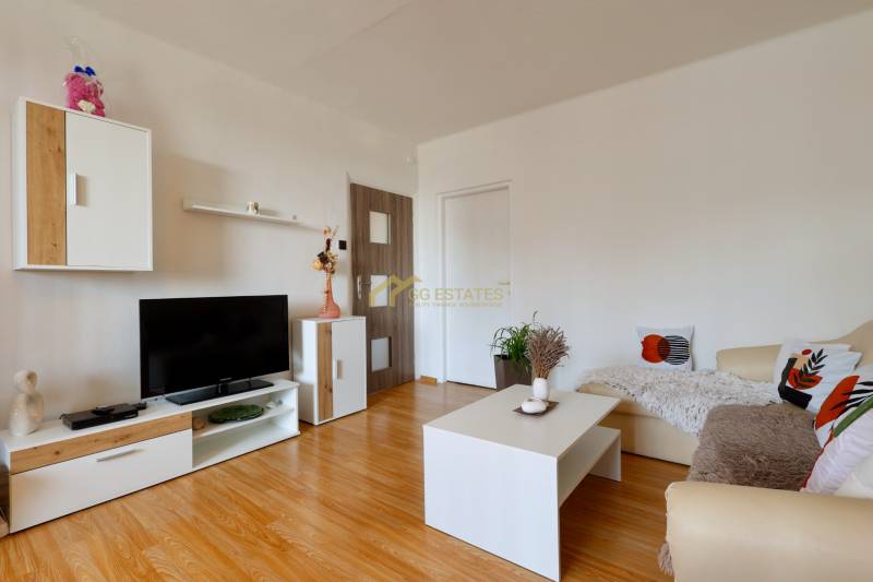 Living room in a two-room apartment with a television, wooden floor, and sofa.