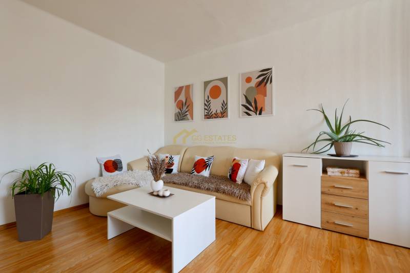 Living room in a two-room apartment with a sofa, table, and plants on the floor.
