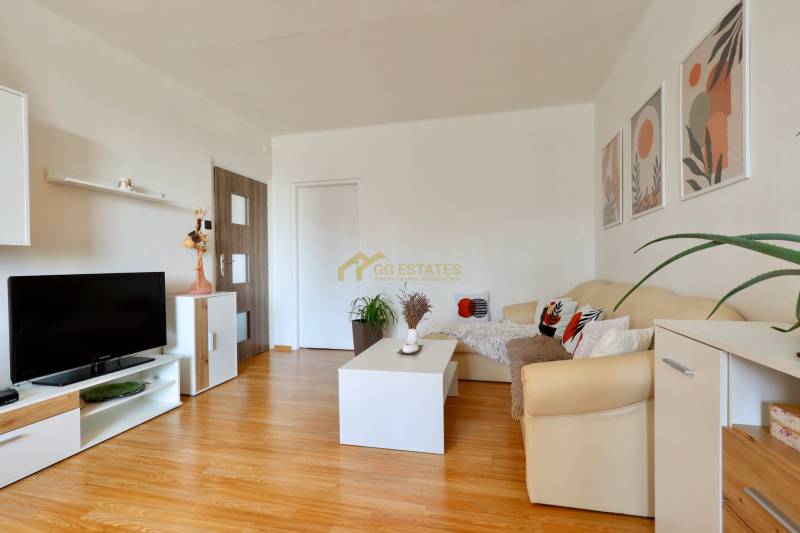 Living room in a two-room apartment, light walls, wooden floor, comfortable sofa, decorations.