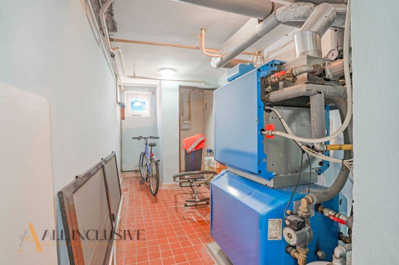 Boiler room with a blue and white boiler, a bicycle, and a reddish-brown floor in a family house.