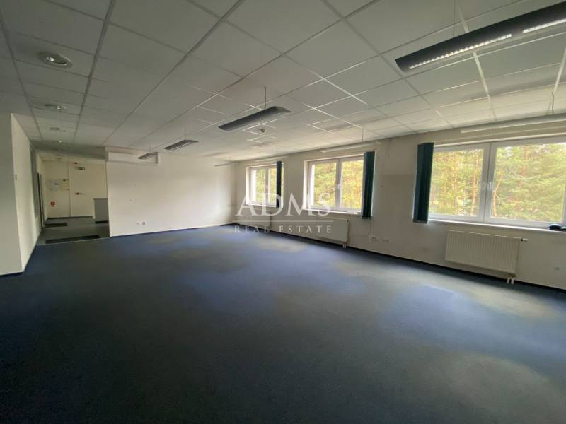 Empty office with carpeted floor and large windows in the building Warehouses and Halls.