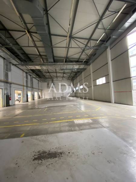 Empty warehouse spaces with high ceilings and marked paths in warehouses and halls.