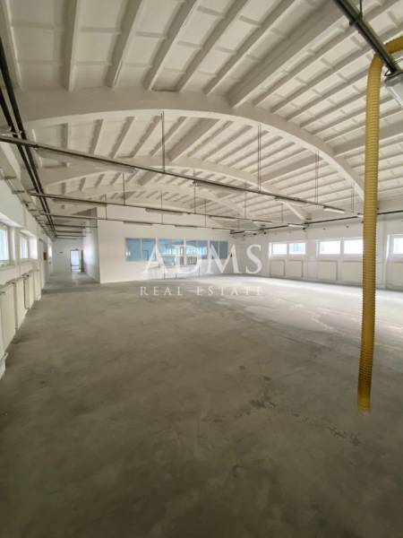 Spacious interior of warehouses and halls with light walls and arched ceiling.