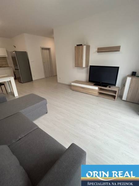 Living room in a two-room apartment with a sofa, TV, and minimalist furniture.