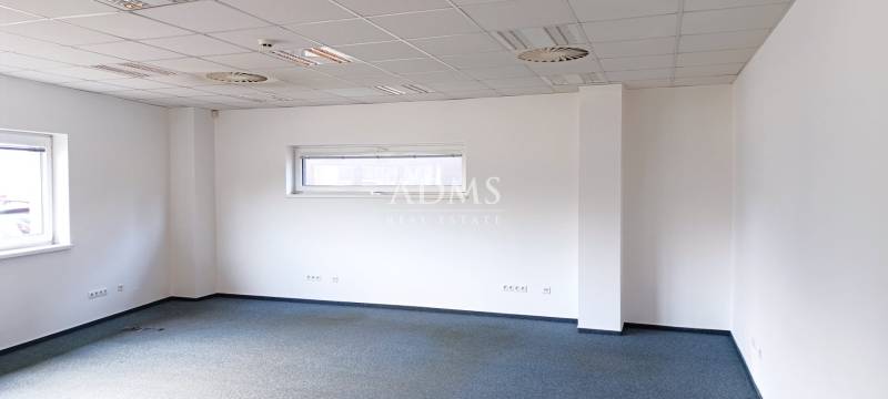 Empty offices, white walls, carpets, windows, ceilings with lighting.