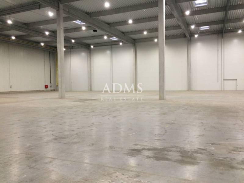 Empty space inside warehouses and halls with concrete floors and columns.