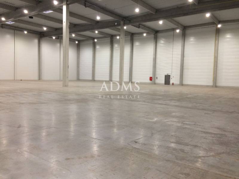 Spacious warehouses and halls with high ceilings and concrete floors.