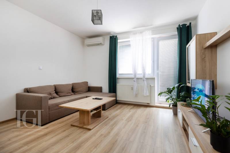 Living room in a 2-room apartment with a sofa, wooden table, and TV cabinet with greenery.