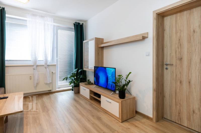 Living room in a 2-room apartment with wooden furniture, a television, and plants.