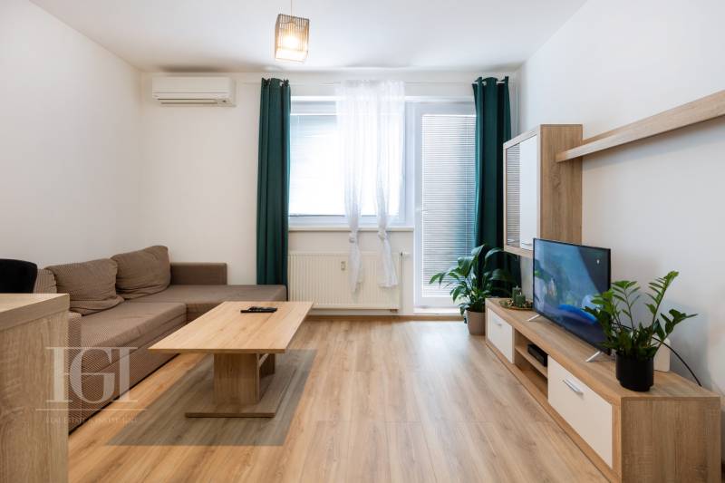 Living room in a two-room apartment with a sofa and a television on a wooden floor.