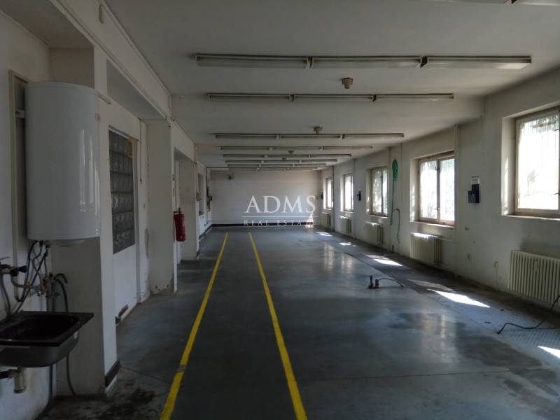 Production premises with a concrete floor, windows, and bright yellow lines on one side.