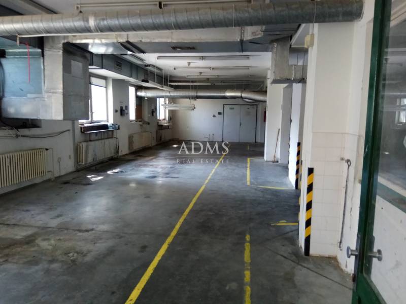 Bright manufacturing spaces with piping and marked zones on the floor.