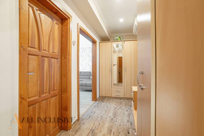 Wooden door, hallway with flooring, wardrobe and view into the living room in a 2-room apartment.