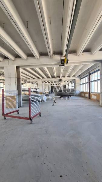 Warehouses and halls with large windows and thoughtful lighting, metal racks.