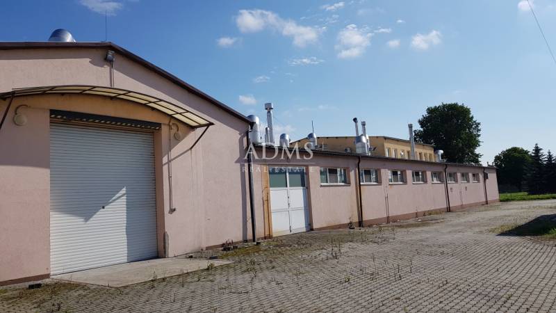A building in the area of warehouses and halls on Kpt. Nálepku Street in Ilava.
