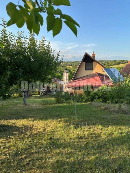 A garden by the cottage in Studená dolina in Levice, surrounded by trees and green areas.