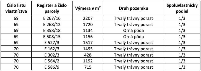 Table with plots in Ižkovce, showing the areas of agricultural and forest lands and co-ownership shares.