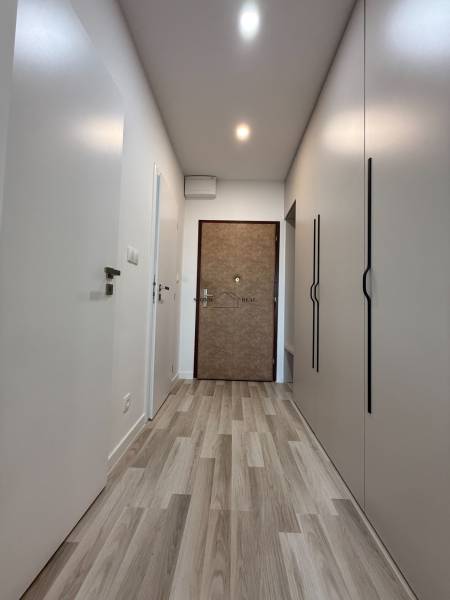 Interior of a 1-room apartment with a hallway, built-in wardrobes, and wooden flooring.
