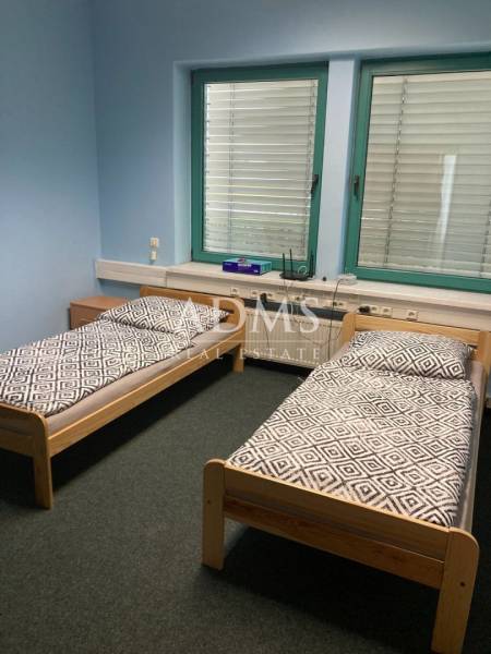 A room with two single beds, in an office interior with blue walls.