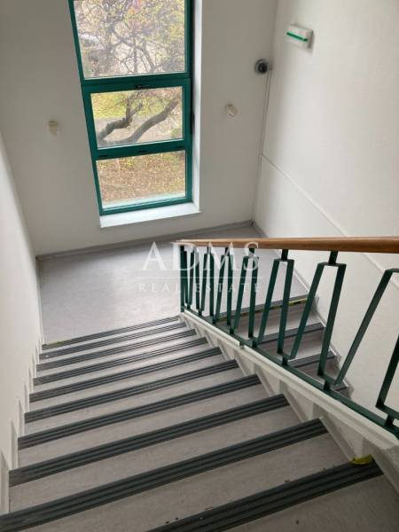 Staircase in offices with a window and railing, view of the outside nature.