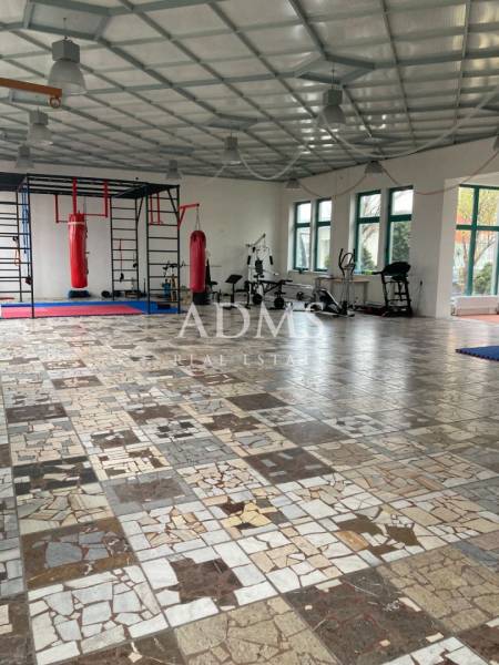 Spacious offices with punching bags and fitness equipment, flooring made of various types of marble.