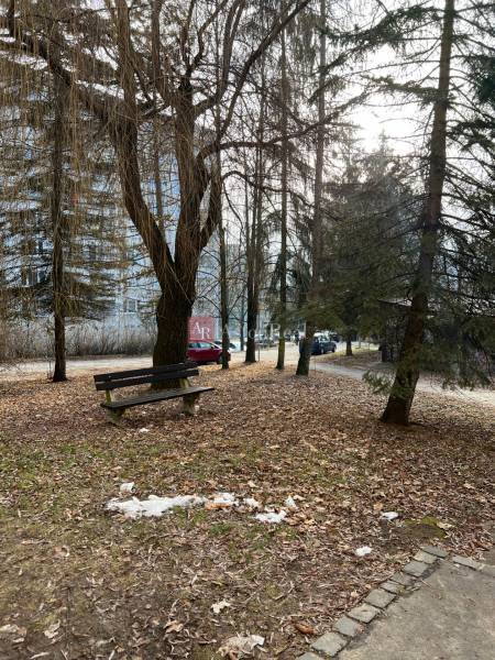 A park with a bench and trees in the city of Banská Bystrica, an ideal place for a 2-room apartment.