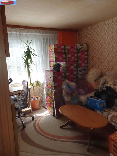 Living room in a 2-room apartment with a plant, boxes, and a coffee table.