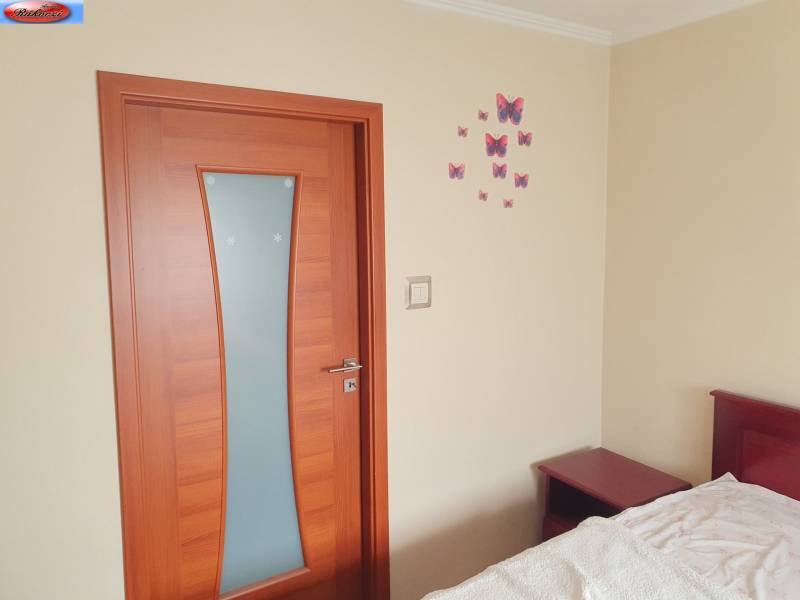 Doors in a 2-room apartment with butterfly motifs on the wall and a bed next to it.