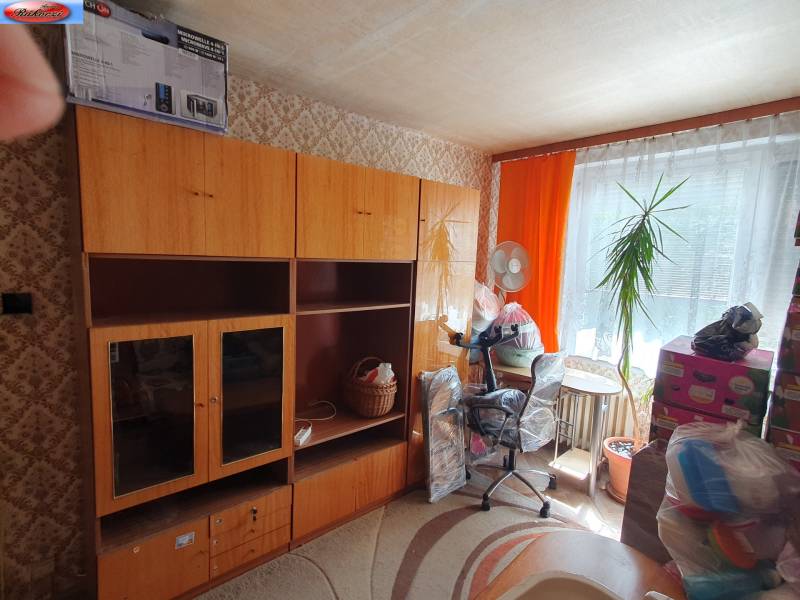 2-room apartment with wooden shelves, a houseplant, and colorful curtains.