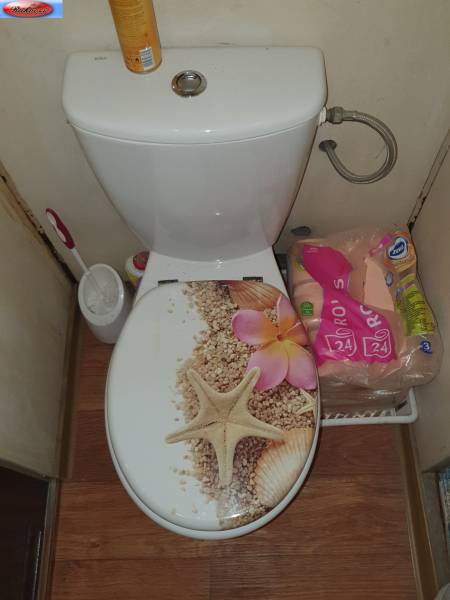 Toilet with a decorative seat featuring sea motifs in a 2-room apartment.