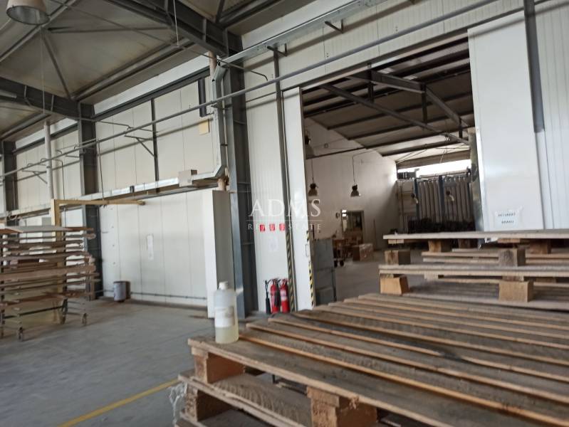 Warehouse and hall space with wooden pallets and entrance to another room.