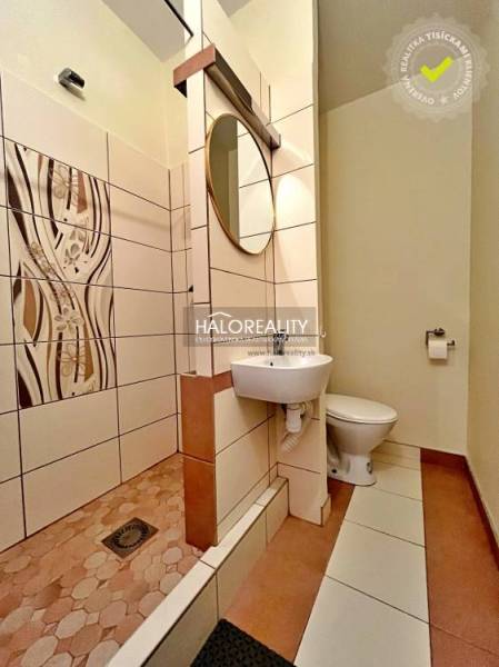 A bathroom in a studio apartment with a modern shower, sink, and toilet.