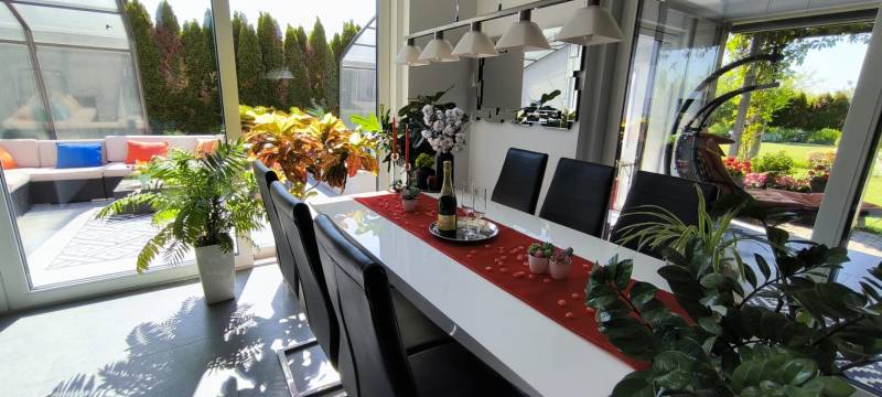 A dining room in a family house with plants, a set table, and a view of the garden.