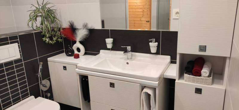 A bathroom in a family house with a sink, toilet, and decorative elements.