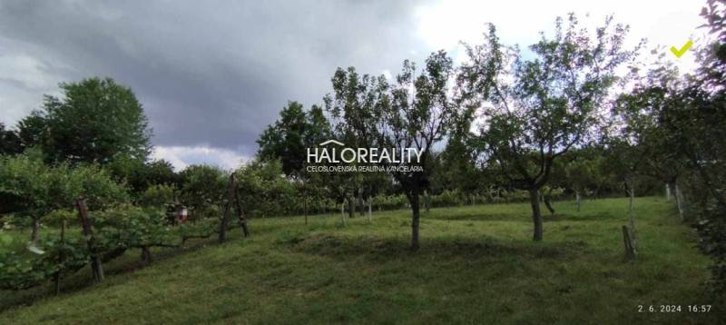 Greenery and fruit trees on a plot suitable for living in the town of Krupina.
