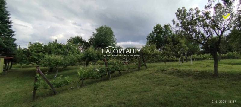 Greenery with fruit trees and vineyards suitable for plots - living in Krupina.