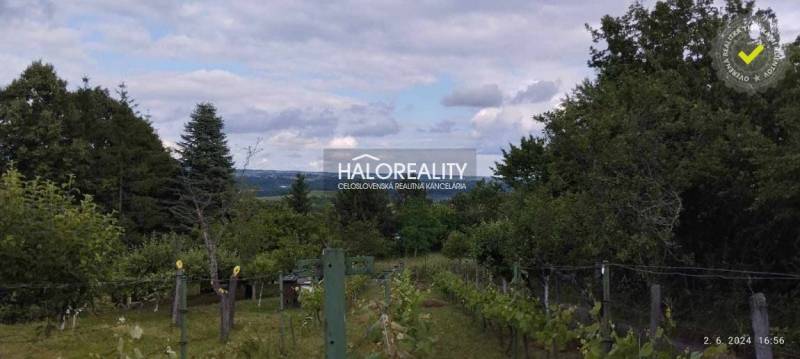Vineyards and trees with a view of the landscape in Krupina, ideal for plots - housing.