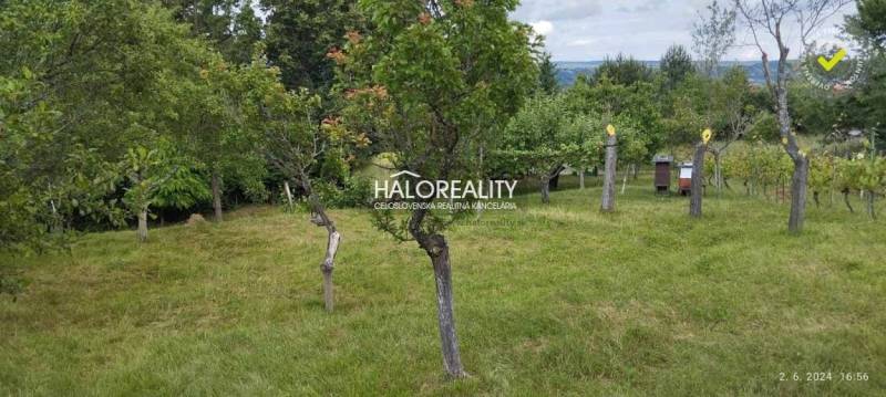 Fruit trees on a residential plot in Krupina, surrounded by green countryside.