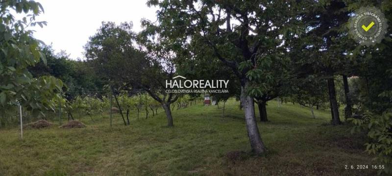 Garden with trees in Krupina, Residential plots. Meadow with plenty of greenery.