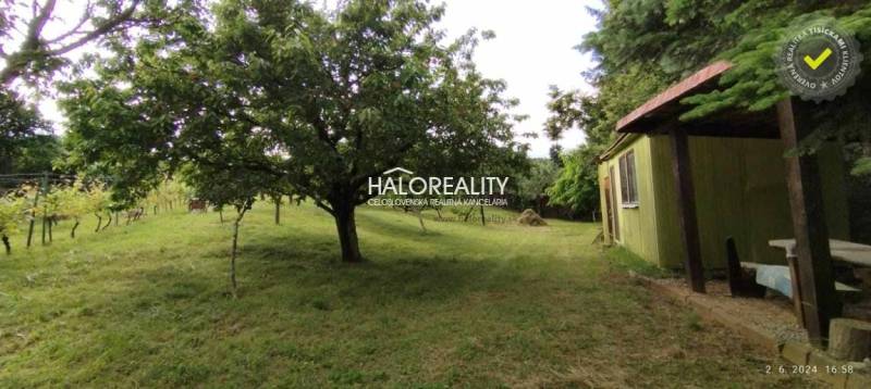 Garden with a cottage and trees in Pozemky - living in Krupina.